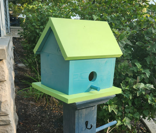 Green Bird House