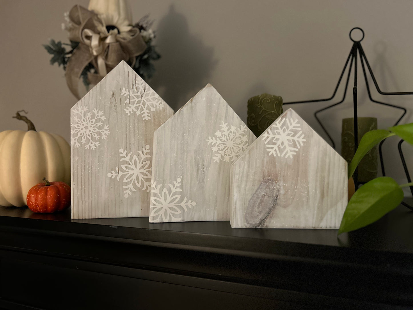 Snowflake Homes